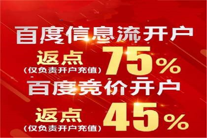 SEM优化策略案例分析